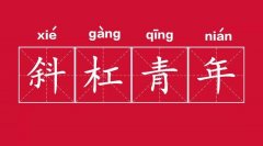 淨б̬ȣ