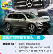 2019ݳչAMG A35 L39